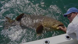 Chew On This Fishing Charters