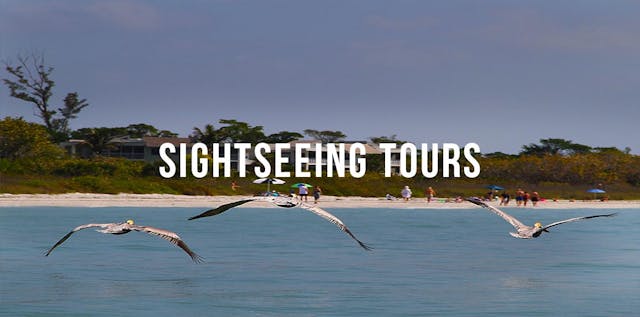 Southwest Florida Sightseeing Tours