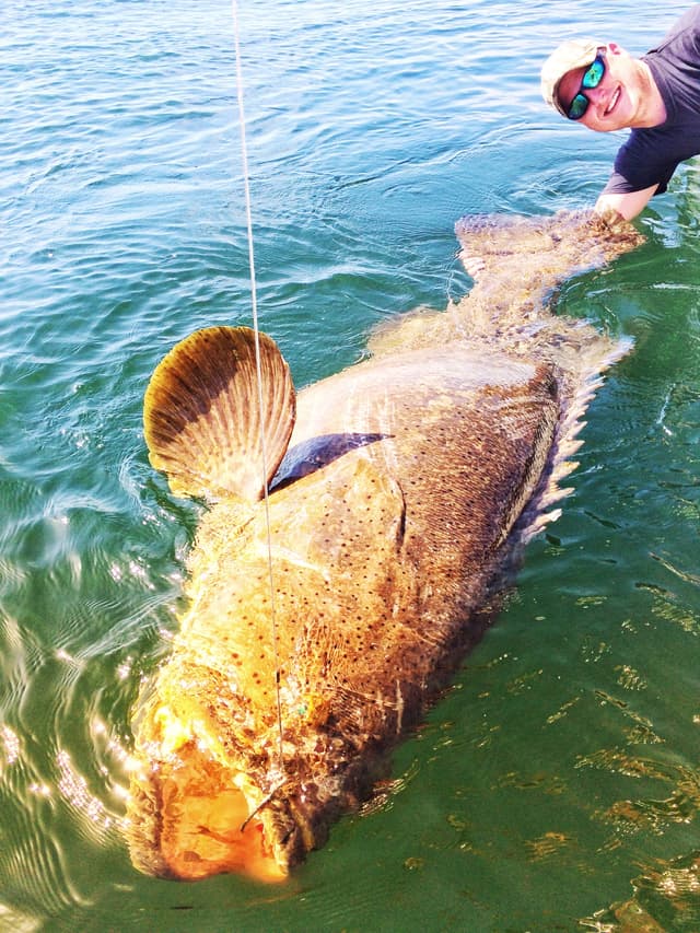 Stuart Florida Fishing Trips