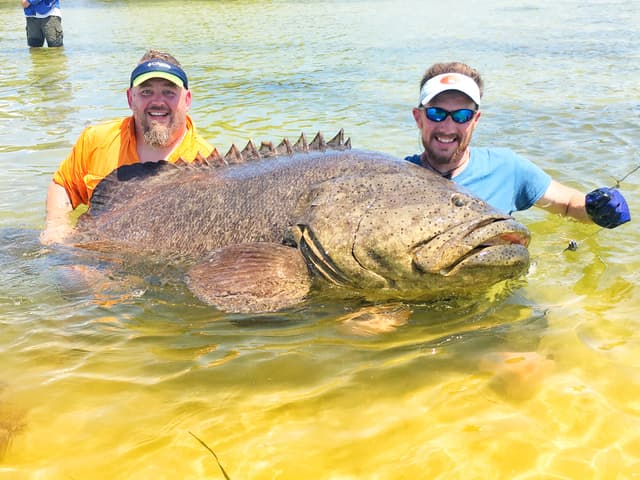 Backwater Back Bay Fishing Trips