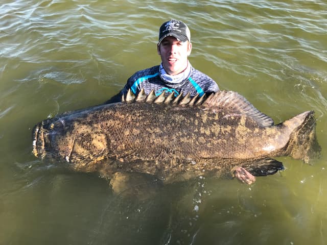 Goliath Grouper Fishing Trips