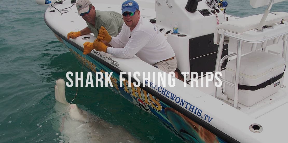 Shark Fishing Trips